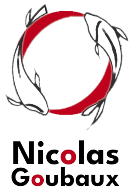 Nicolas Goubaux – Praticien Shiatsu & Médiateur